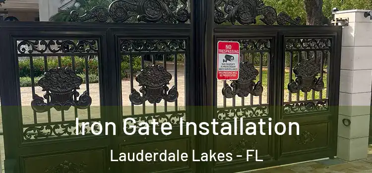 Iron Gate Installation Lauderdale Lakes - FL